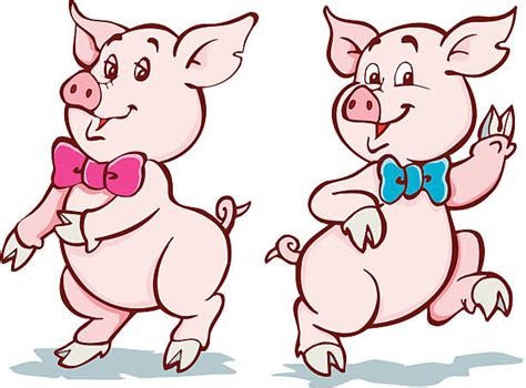 Two Pigs Illustrations, Royalty-Free Vector Graphics & Clip Art - iStock