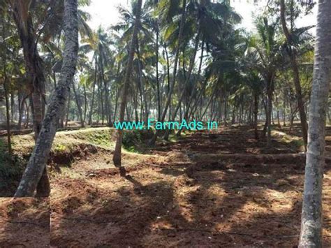 6 Acres Coconut Farm Land For Sale In Kozhinjampara Palakkad FarmAds In