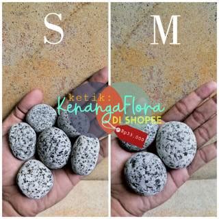 Jual BATU KORAL TELUR PUYUH 10 Kg Shopee Indonesia