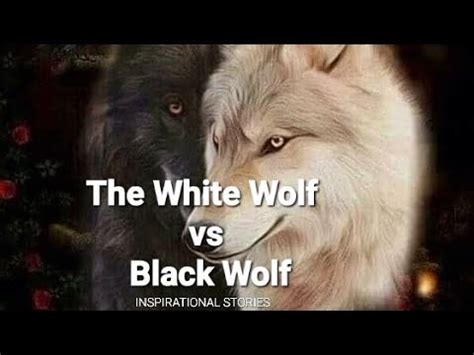 The White Wolf Vs Black Wolf INSPIRATIONAL STORIES YouTube