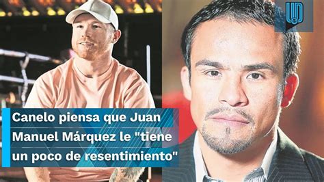 Canelo Lvarez Piensa Que Juan Manuel M Rquez Le Tiene Un Poco De