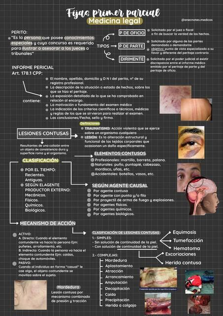 Medicina Legal Julia Lucia Curo Ramos Anecnotes Medic Udocz