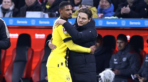 BVB Profi Haller Verpasste Meisterschaft Schmerzhafter Als Krebs