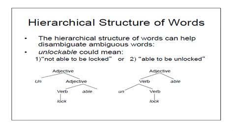Morphology Ppt