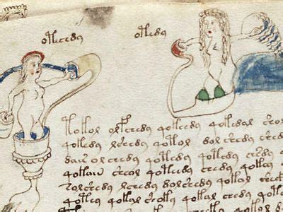 The Th Century Voynich Manuscript And The Naked Women Artofit