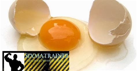 Propiedades Nutritivas Del Huevo Sixmatrainer