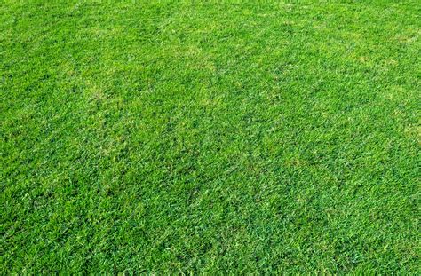 Fondo Del Campo De Hierba Verde Patrón De La Hierba Verde Y La Textura Foto Premium