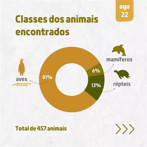 Agosto registra aumento de encalhe de animais nas praias do Paraná