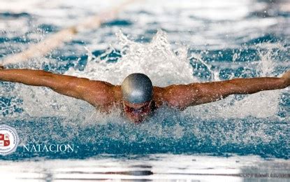 Federacion Rosario De Natacion