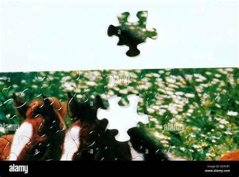 Almost Complete Jigsaw Puzzle Stock Photo Alamy