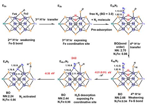 Suggested Reaction Mechanism Of The N Adsorption And Activation The