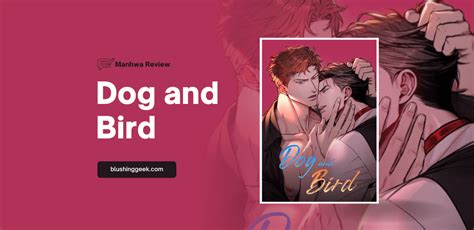 Dog And Bird Cap 1 - Manhwa Review - Dog and Bird | Blushing Geek