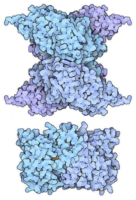 Pdb Molecule Of The Month Selenocysteine Synthase