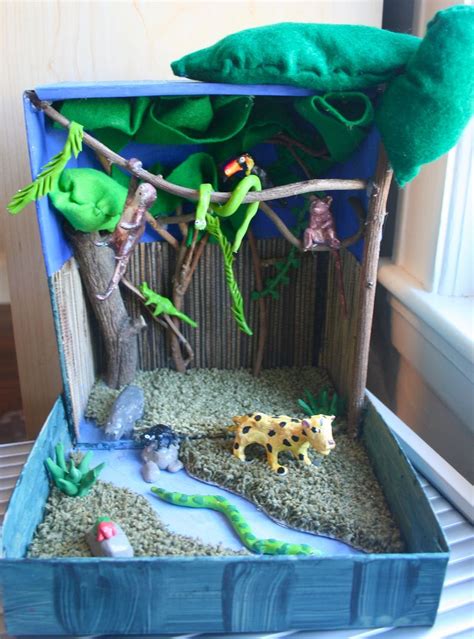 Rainforest Habitat Complete Diorama Kids Rainforest Project