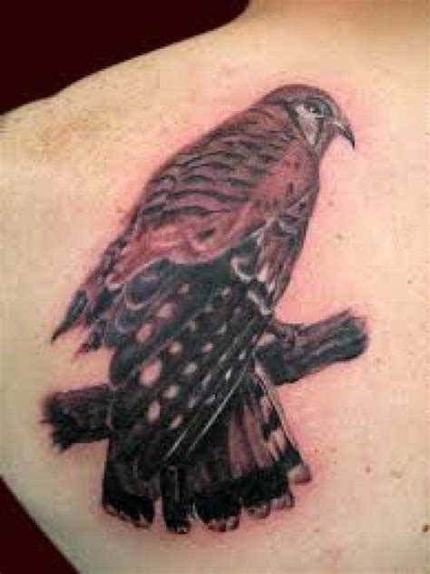 Hawk Tattoos And Meanings-Hawk Tattoo Designs And Ideas-Hawk Tattoo ...