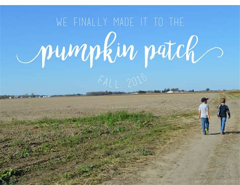 Fall Tradition: Going to the pumpkin patch - Love & Messiness