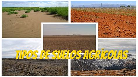 Importancia y tipos de suelos agrícolas