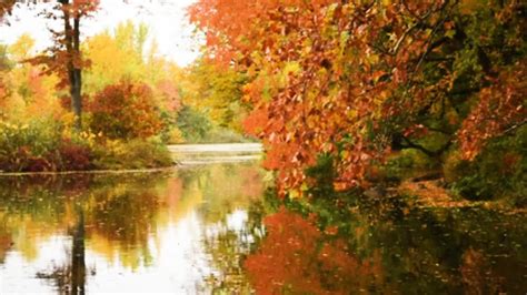 Rustige Herfst Muziek Instrumentaal Dwarsfluit Achtergrondmuziek Rustig