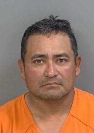 Nearly 20 new Collier... - Collier County Arrests & Mugshots