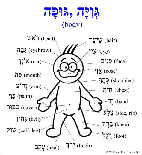 Hebrew Worksheets For Beginners Pdf Printables Worksheets Library