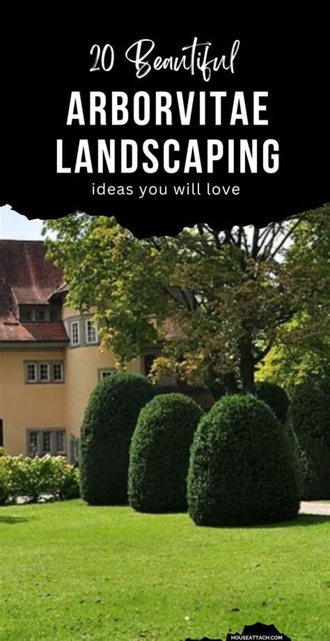 Beautiful Arborvitae Landscaping Ideas