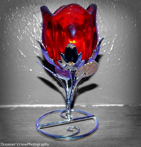 Glass Rose Beauty In Front Of The Naked Eye Wine Glass Rose Creative