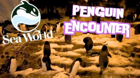 Antarctica Empire Of The Penguin At SeaWorld Orlando Exhibit Full Tour