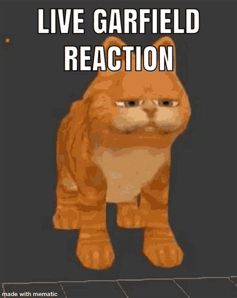 Live Garfield Reaction  Live Garfield Reaction Discover And Share S