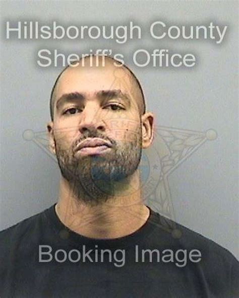 Hillsborough County's Most Wanted: The Mugshot Gallery