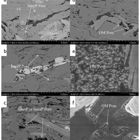 Fe Sem Images Of Various Types Of Pores A Sample Qp 2 B Sample