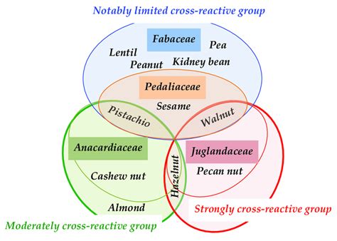 Cartoon Summarizing The Different Types Limited Mild Or Strong Of