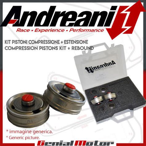 Andreani Compression And Rebound Fork Pistons Kit Suzuki Gsx R