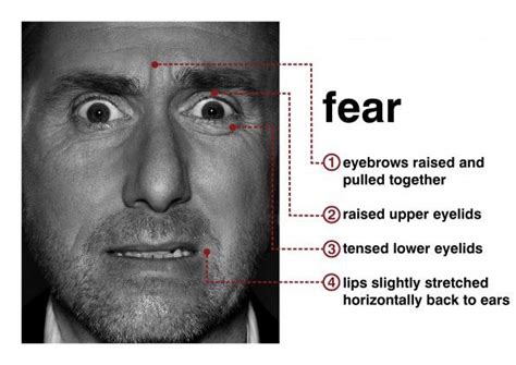 How to Detect Lies: Micro Expressions | by Nick Babich | Medium Reading ...