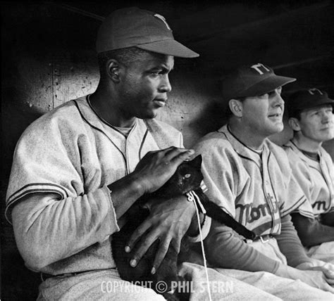 Phil Sterns Archives Jackie Robinson