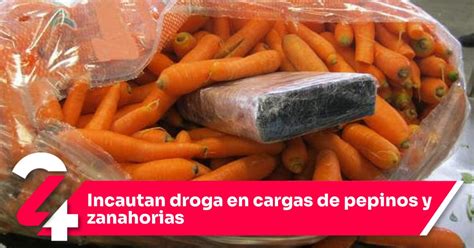 Incautan Droga En Cargas De Pepinos Y Zanahorias Noticias Siete