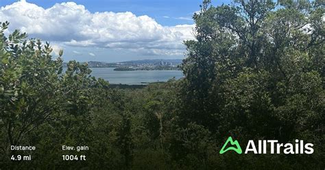 Rangitoto Summit Loop and Lava Caves, Auckland, New Zealand - 85 ...