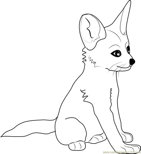 Fennec Fox Baby Coloring Page - Free Fox Coloring Pages : ColoringPages101.com