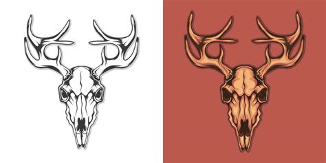 Hunting Deer Head Skull Vector Design Illustration 28182284 Vector Art