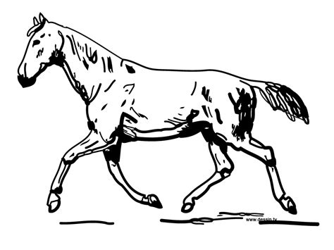 Dessins De Coloriage Cheval Imprimer Sur Laguerche Page