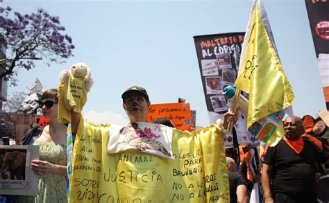 Marchas Y Manifestaciones En La CdMx Hoy 20 De Marzo 2024 Telediario