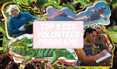 Top 9 Eco Volunteer Programs Trusted And Affordable