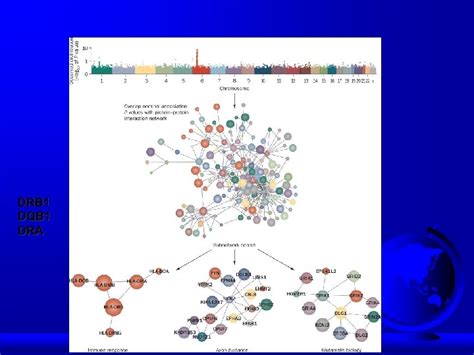 Identification Of Genes Involved In Multifactorial Diseases And