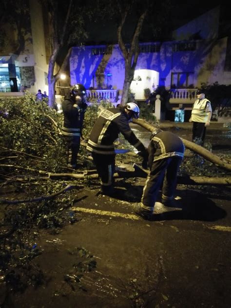 AĠĠornat Iċċedi Tinda Tal Lidl Fil Mosta U Taqa Gallarija Fuq Karozza