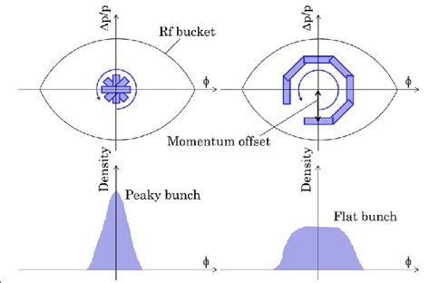 Schematic Diagram Of The Longitudinal Motion For The Multiturn