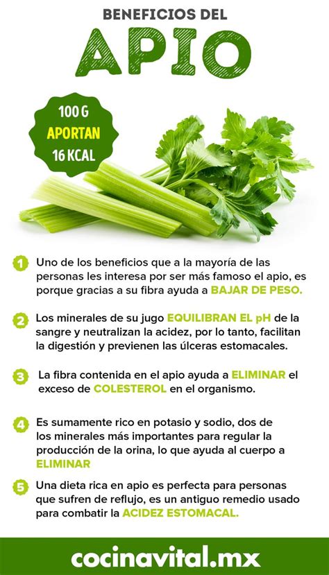 9 Fabulosos Beneficios Del Apio Que Tu Cuerpo Agradecerá Cocina Vital