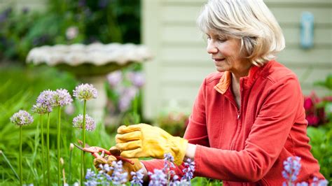 How To Correctly Deadhead Flowers For A Thriving Garden