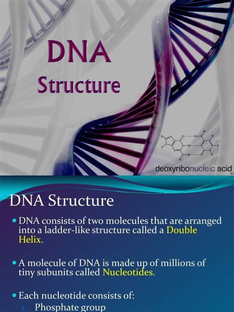 DNA, RNA & Protein Synthesis | PDF | Dna | Rna