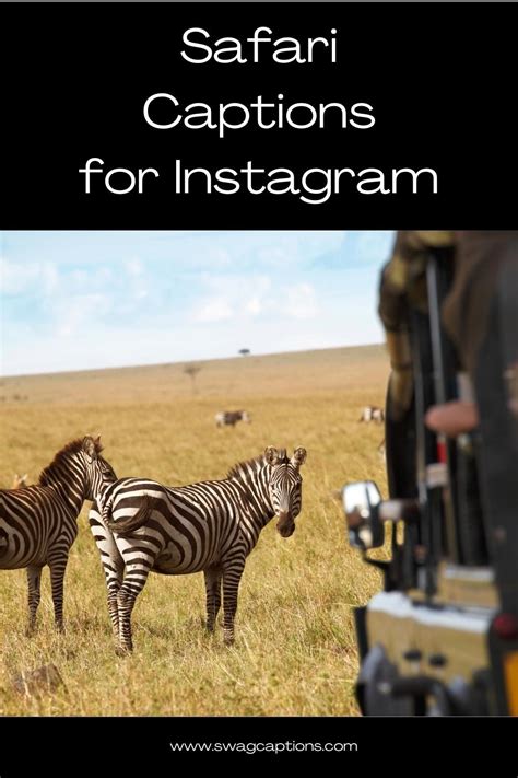 Best Safari Captions And Quotes For Instagram In 2024 Artofit