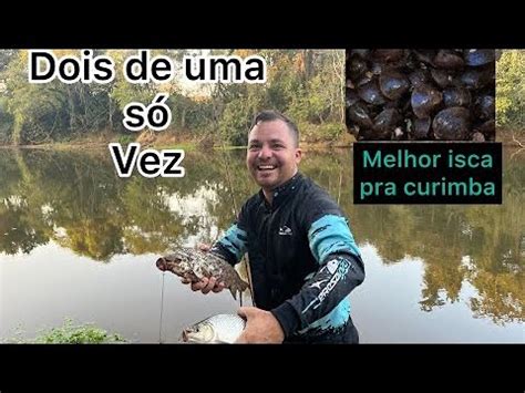 Essa Pescaria Foi Show A Melhor Isca Do Mundo Pega Ate Curimba