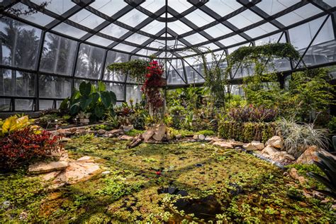 Tropicario Jardín Botánico De Bogotá Darp De Arquitectura Y Paisaje